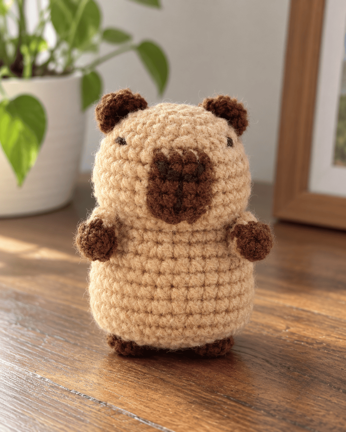 Kit crochet amigurumi — Capybara et tortue | Coutureo